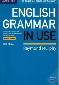 English Grammar in Use Book With Answers and Interactive Ebook. Self-Study Reference and Practice Book for Intermediate Learners of English