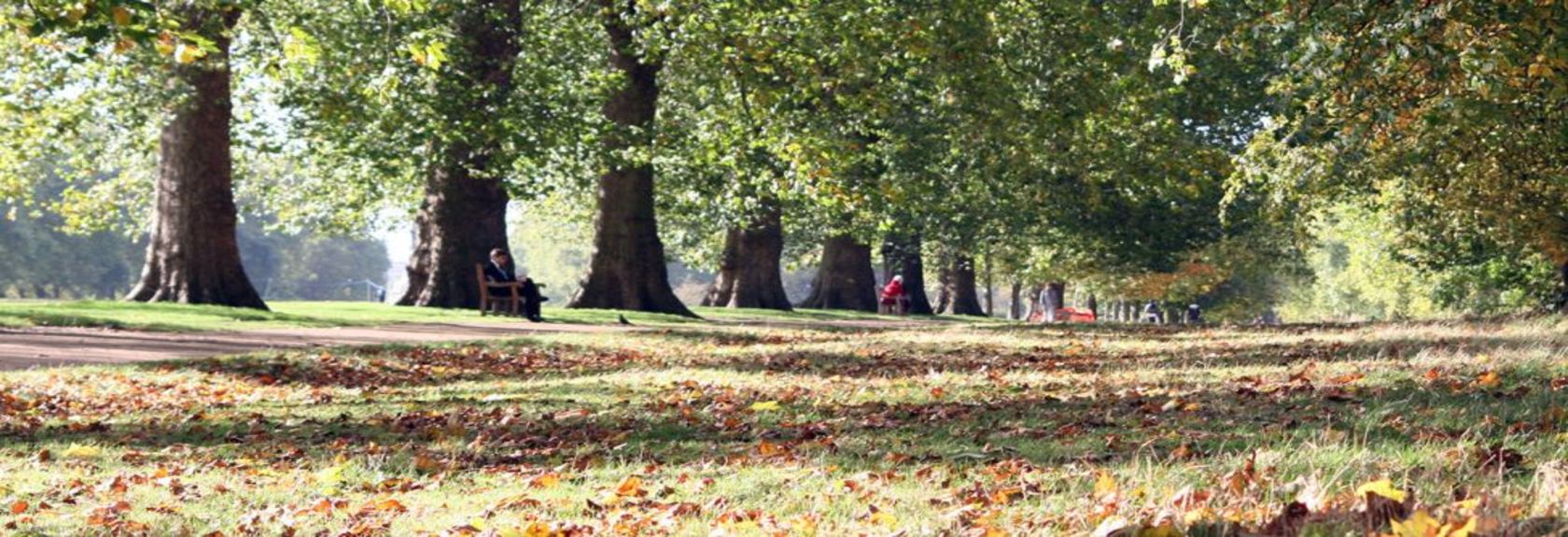 Um dos maiores e mais famosos parques de Londres é o Hyde Park