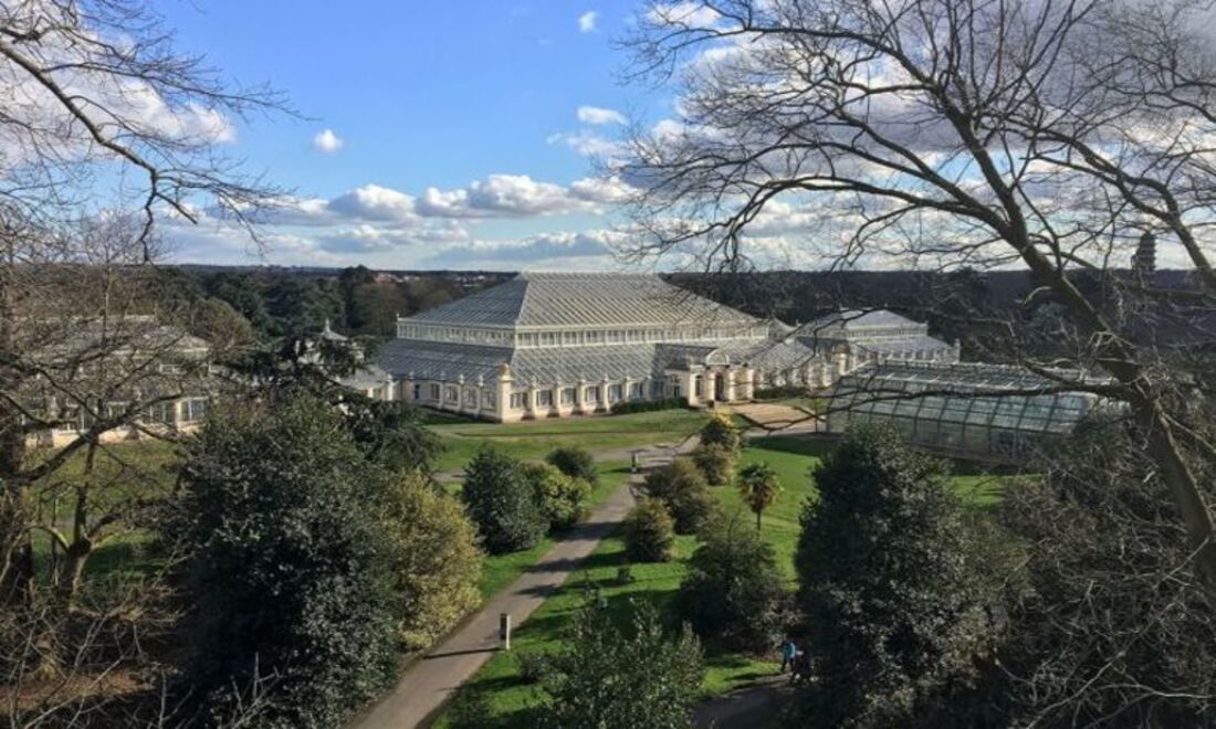 O Kew Palace e Gardens está basicamente aberto diariamente, com exceção de feriados e dias especiais